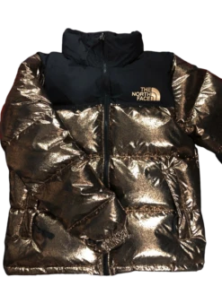 Veste En Duvet The North Face